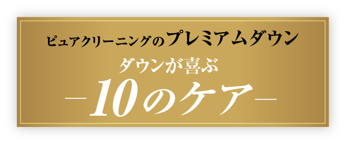 プレミアムダウンクリーニング 10の秘密