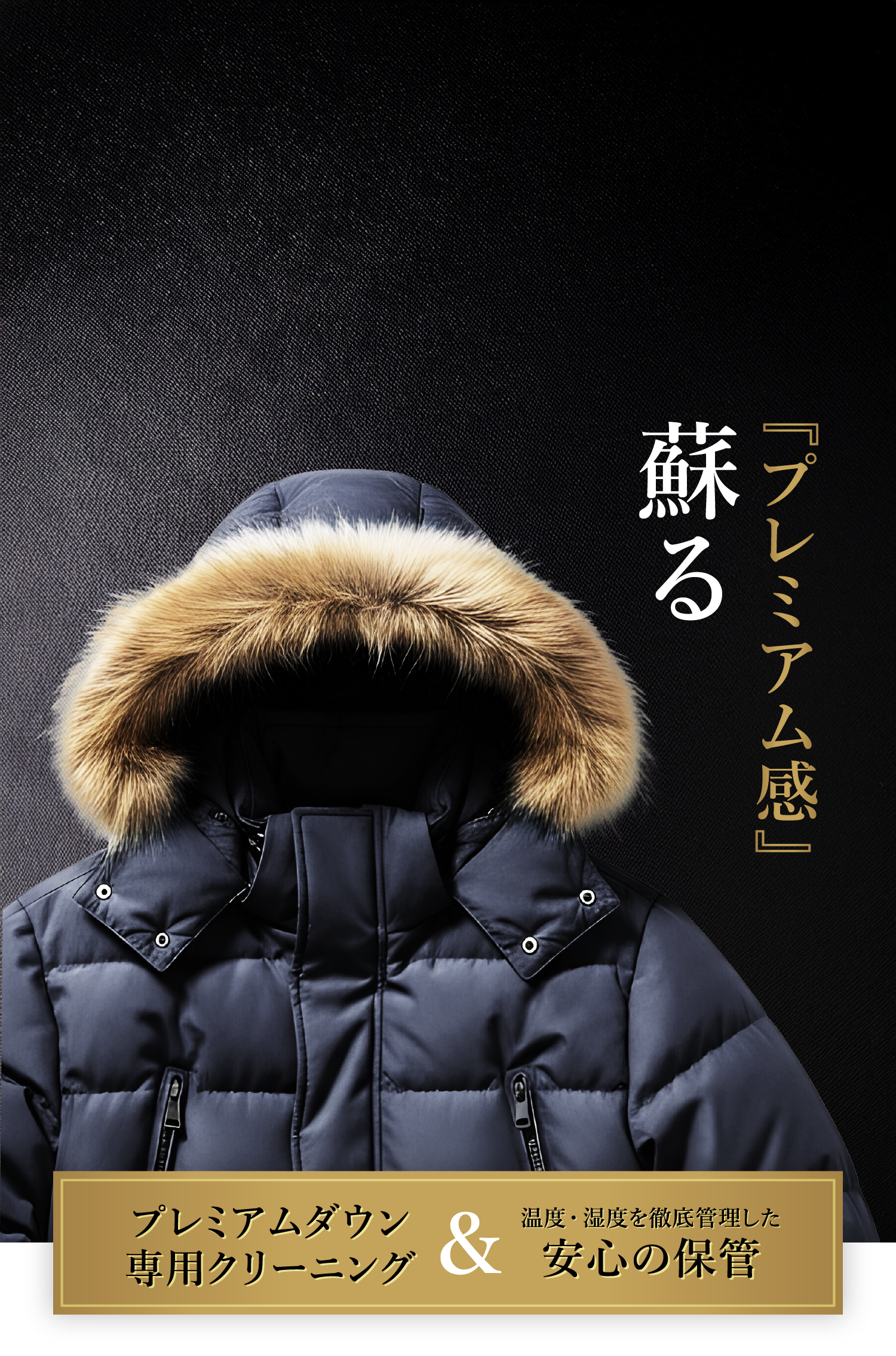 プレミアムダウンクリーニング
